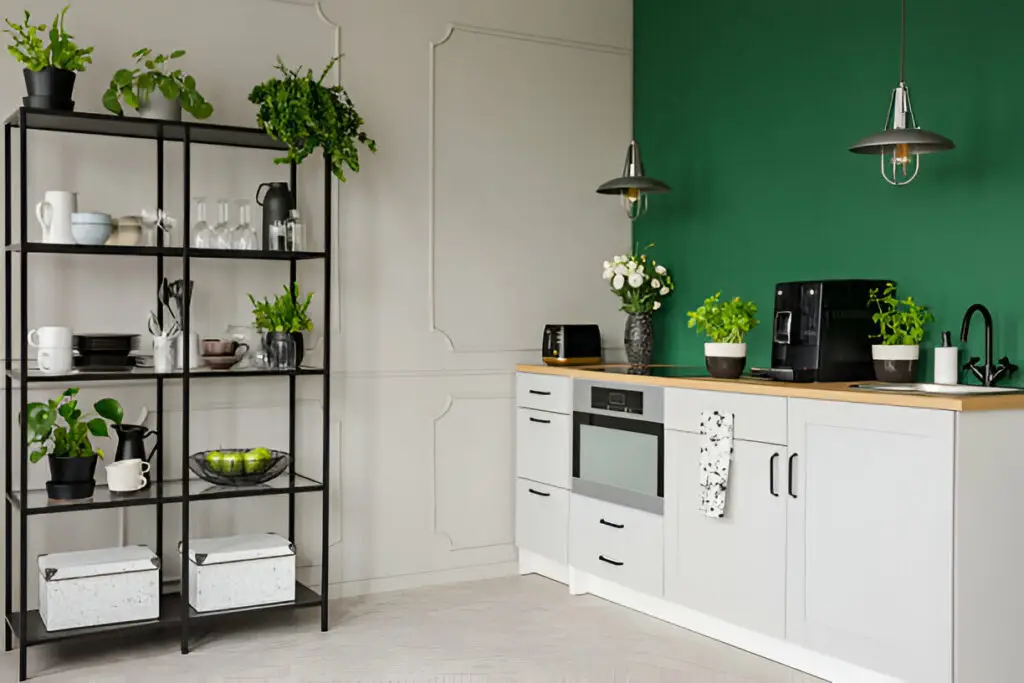 10 Eco-Friendly Kitchen Cabinet Storage Ideas for a Greener Home 13 Modern kitchen with green accent wall and open shelving